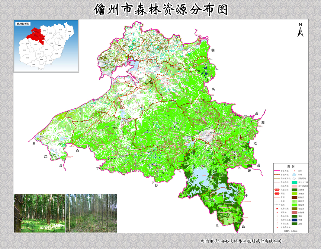 儋州市森林资源分布图